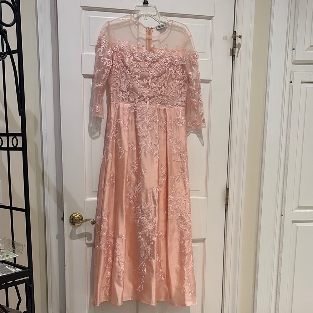 Embroidered Illusion Yoke Midi Dress in Blush Pink